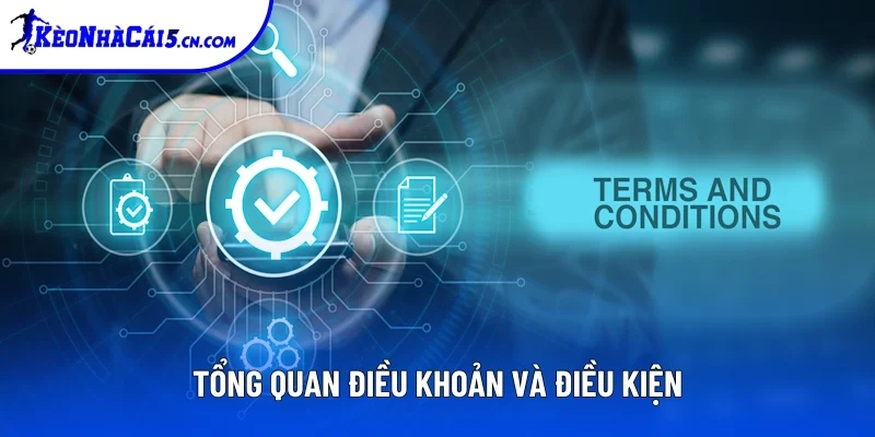 Tổng quan điều khoản điều kiện của nhà cái Tổng quan điều khoản điều kiện của nhà cái