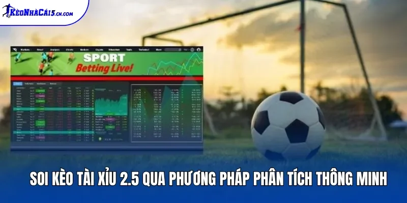 Soi Kèo Tài Xỉu 2.5